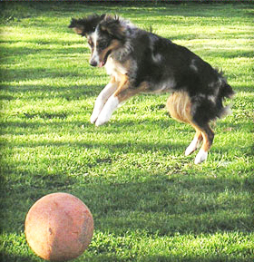 Wiseachers Kami Wiseachers Kami