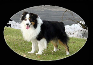 Wiseachers Luken For Tn Shine Wiseachers Luken For Tn Shine